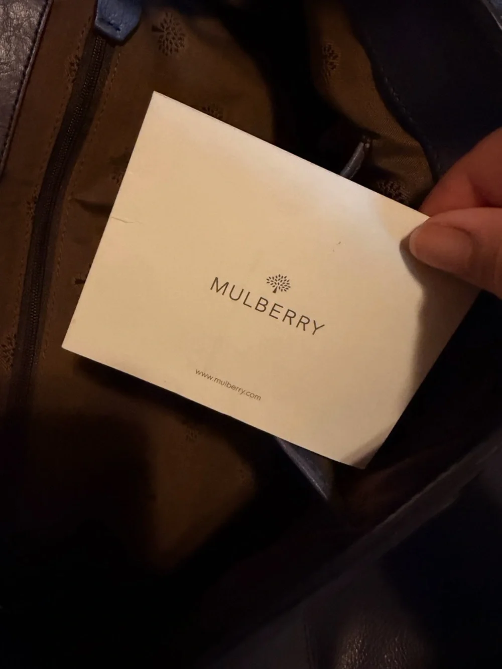 Authentic Mulberry Alexa Slate Purse - Picture 11 of 14